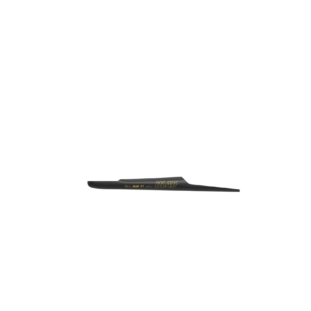 TailDLAB37_.RGB_color.0012.png